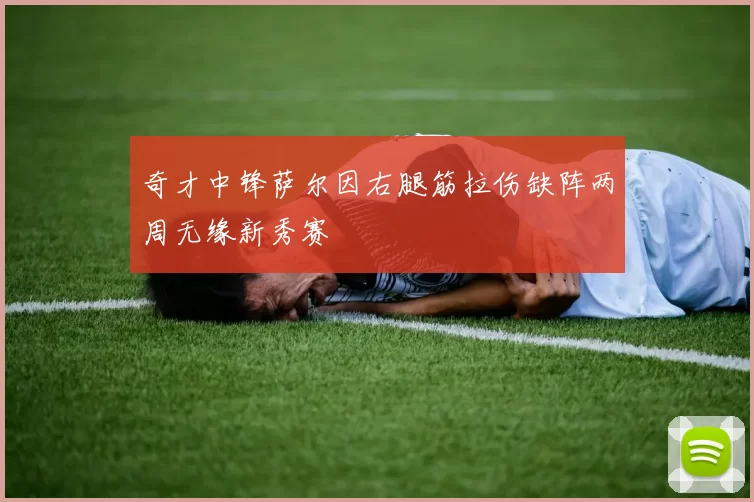 奇才中锋萨尔因右腿筋拉伤缺阵两周无缘新秀赛